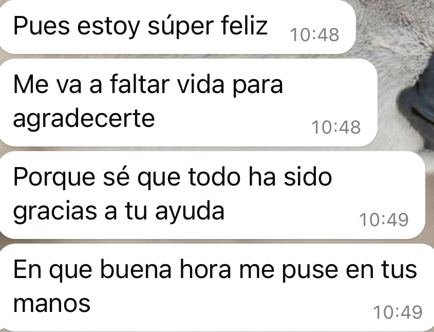 Resultado real compartido por WhatsApp 2